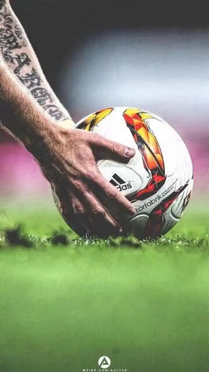 重要原因 重要原因